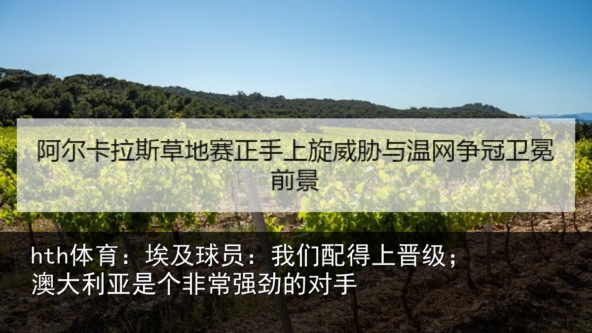 hth体育：埃及相关情况级澳相关情况劲的对手